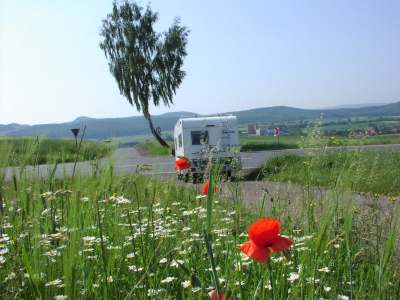 Dr. Pulver zaait papavers? Nee, dit is Tecklenburg.