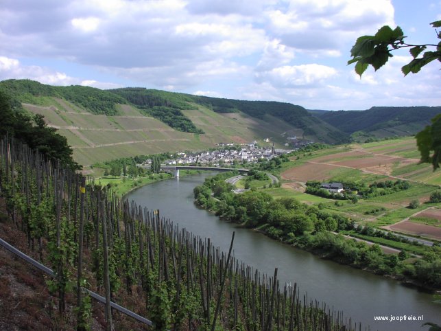 De Moezel van bovenaf gezien.