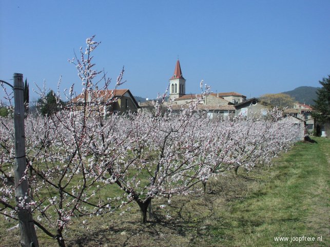 In Frankrijk is het al duidelijk lente.
