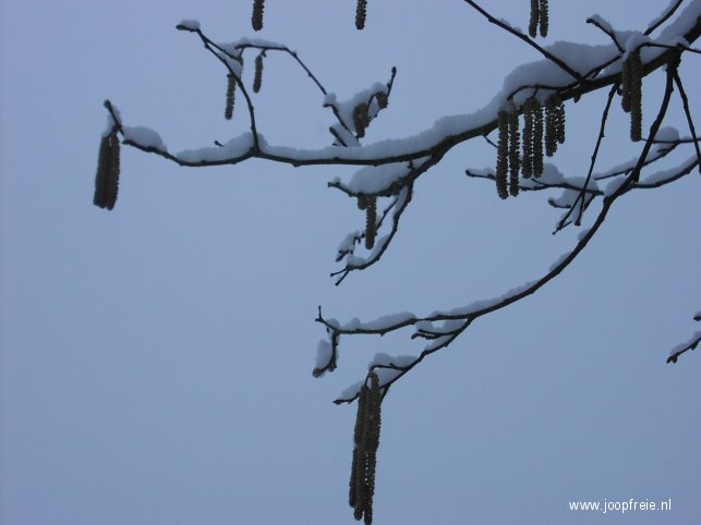 Maart 2005 in Nederland....Winter!