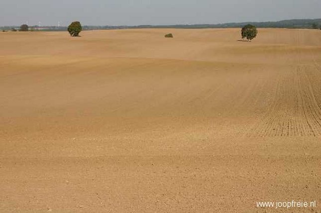 Landbouwgrond in Schwaan