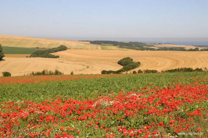 Omgeving van Wissant