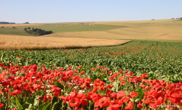 Glooiende akkers in Normandie