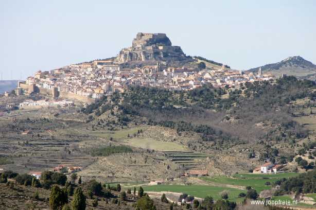 Morella