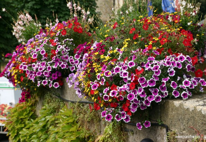 Brissac: Ville Fleurie