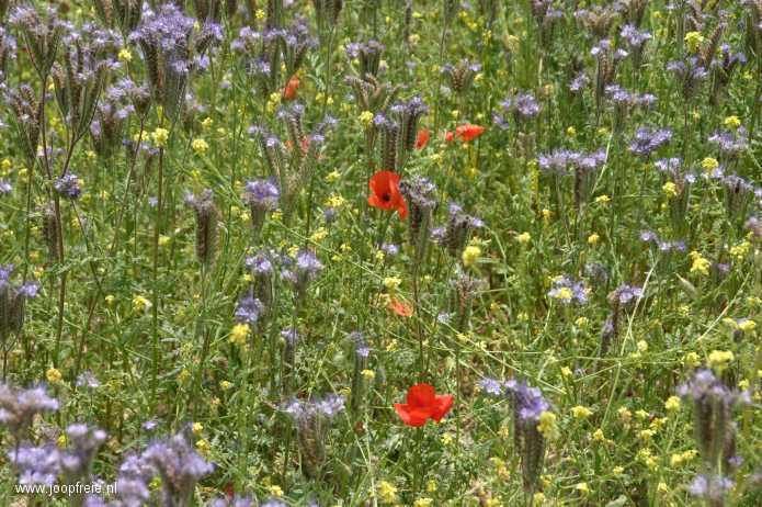 Onderweg in de Provence