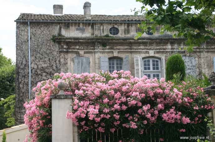 Saint Remy de Provence