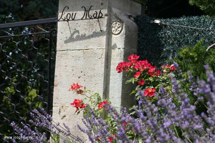 Saint Remy de Provence