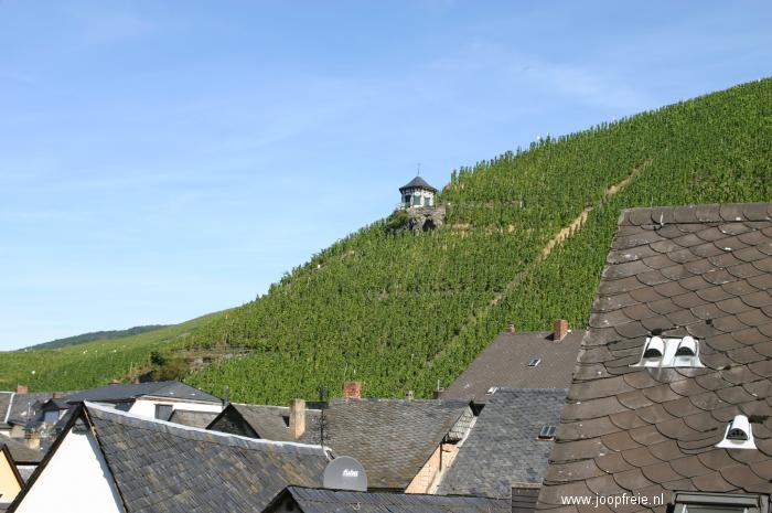 Wijnvelden bij Bernkastel aan de Moezel
