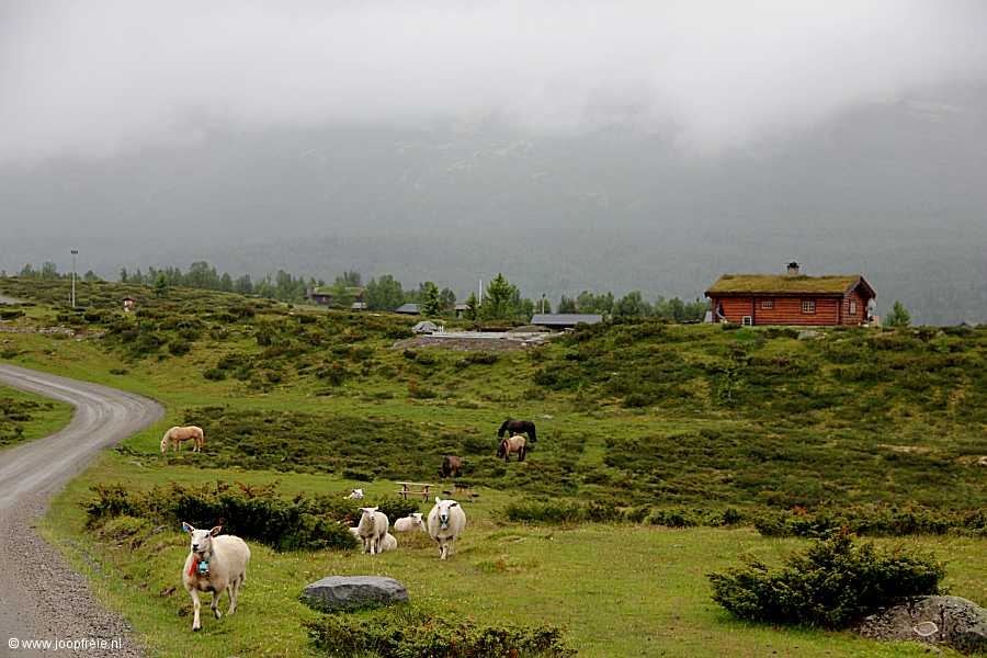 Rust aan de Peer Gyntweg